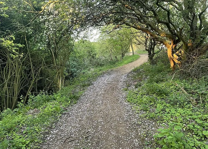 Newts Place - Part Of The The Bay Village With Pool, Gym And Direct Access, Pub, Restaurant, Tennis And Meadows Walks Filey